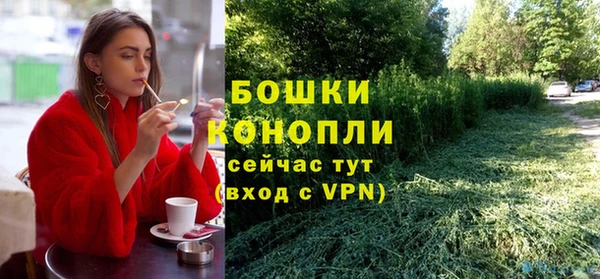 гашик Гусев