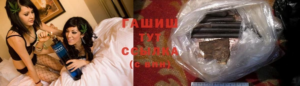 индика Гусиноозёрск