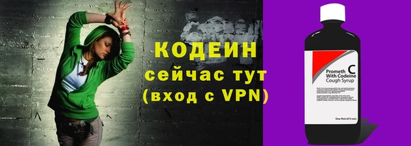 гашик Гусев