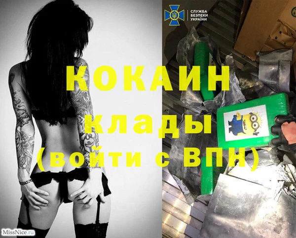 индика Гусиноозёрск