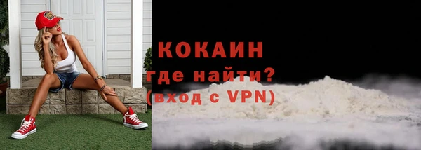 индика Гусиноозёрск