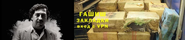 индика Гусиноозёрск