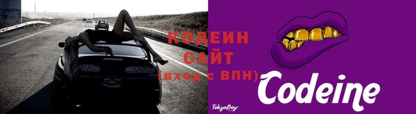 гашик Гусев