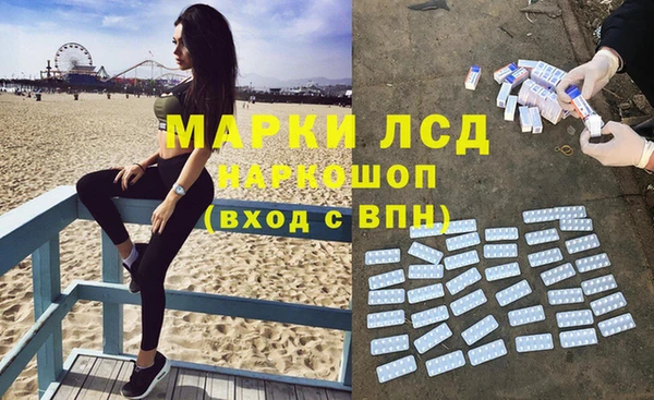 индика Гусиноозёрск