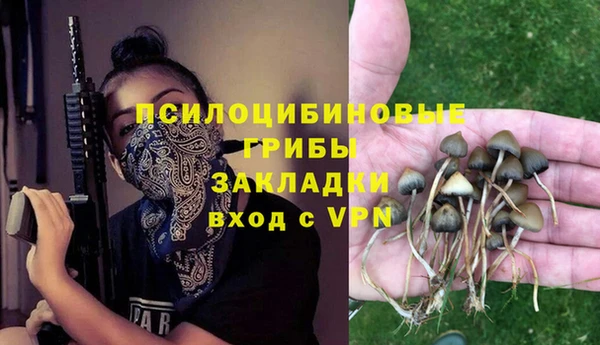 гашик Гусев