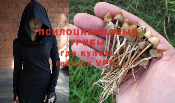 индика Гусиноозёрск