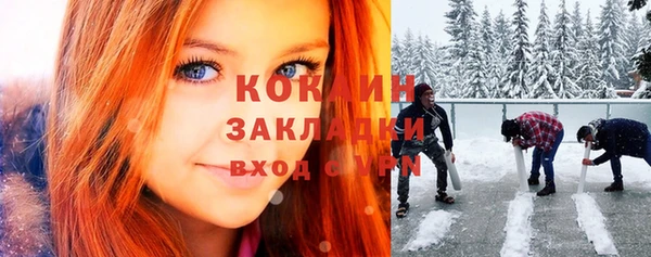 гашик Гусев