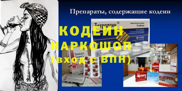 гашик Гусев