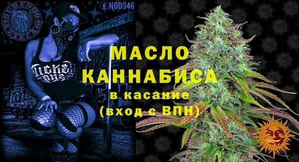 индика Гусиноозёрск