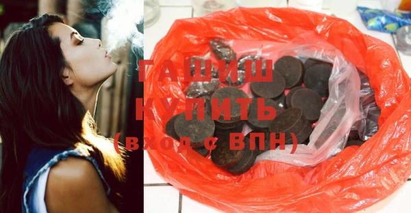 индика Гусиноозёрск