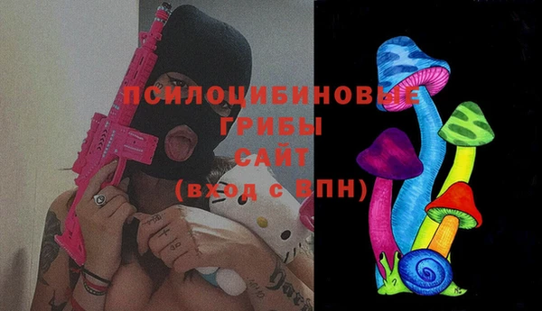 индика Гусиноозёрск
