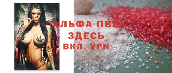 гашик Гусев