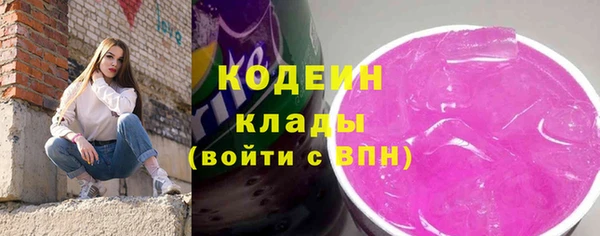 индика Гусиноозёрск