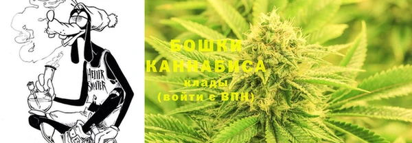 гашик Гусев