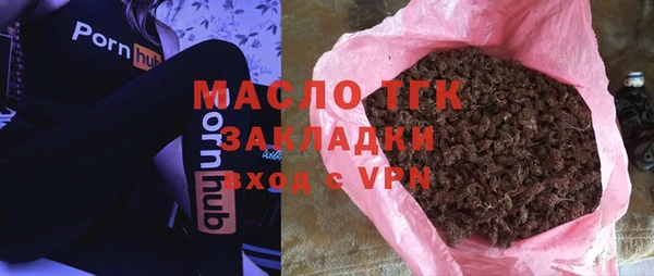 индика Гусиноозёрск