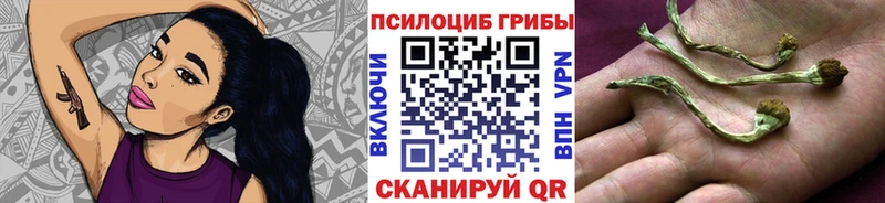 закладки Октябрьск Галлюциногенные грибы мухоморы